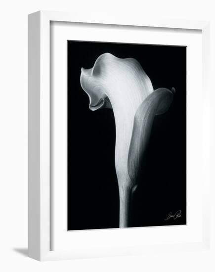 Arum Lily IV-Bruce Rae-Framed Giclee Print