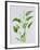 Arum lily-Sally Crosthwaite-Framed Giclee Print