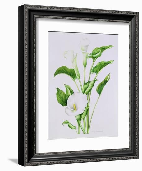 Arum lily-Sally Crosthwaite-Framed Giclee Print