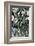 Arums I-Tamara de Lempicka-Framed Premium Giclee Print