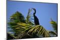 Premium Photographic Print