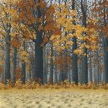 Autumn Wood-Timothy Arzt-Framed Art Print