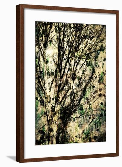 As Old as Time-Ursula Abresch-Framed Photographic Print