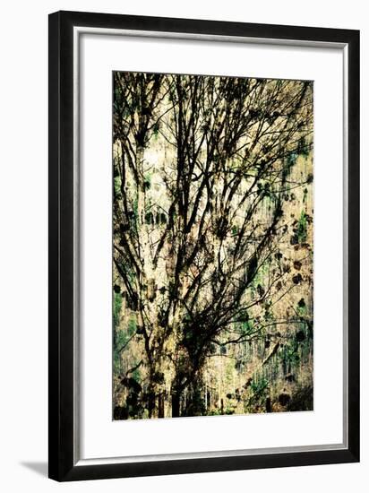 As Old as Time-Ursula Abresch-Framed Photographic Print