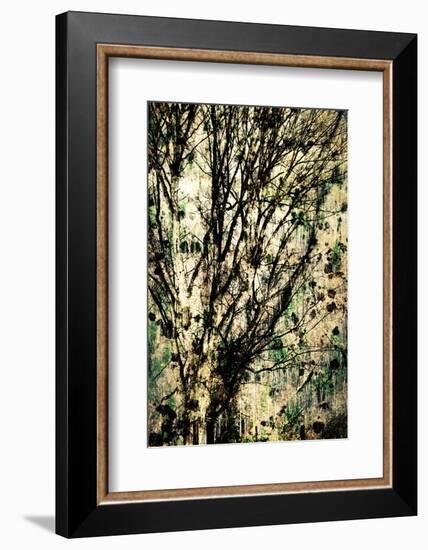 As Old as Time-Ursula Abresch-Framed Photographic Print