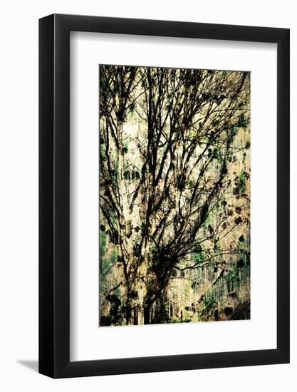 As Old as Time-Ursula Abresch-Framed Photographic Print