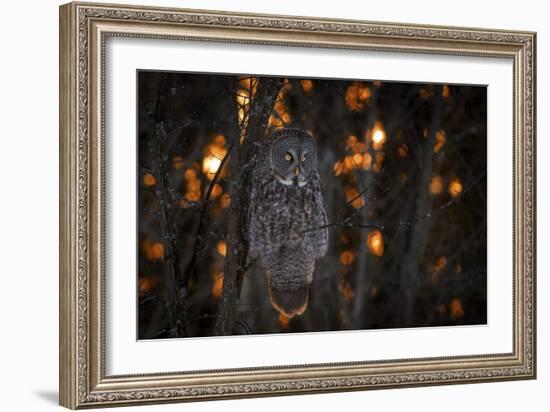 As The Sun Goes Down-Nick Kalathas-Framed Giclee Print