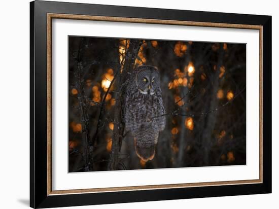 As The Sun Goes Down-Nick Kalathas-Framed Giclee Print