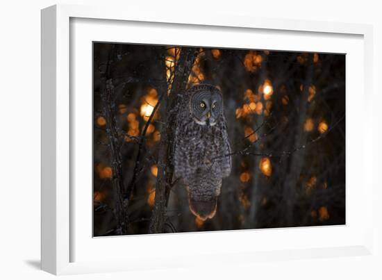 As The Sun Goes Down-Nick Kalathas-Framed Giclee Print