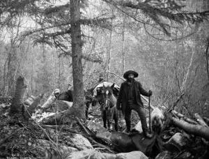 Gold Prospector Traveling For Supplies, Undated by Asahel Curtis