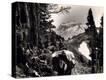 Stretched Canvas Print