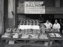 Holmes Harbor, Whidbey Island, Landing Fish, 1931-Asahel Curtis-Giclee Print