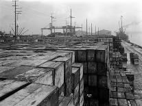 Ships Loading Timber at Docks, Seattle, 1916-Asahel Curtis-Giclee Print