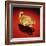 Asante Scorpion Ring, from Ghana (Gold)-African-Framed Giclee Print