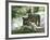 Asap Entertainment Plays with Wolves-Lionel Cironneau-Framed Photographic Print