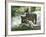 Asap Entertainment Plays with Wolves-Lionel Cironneau-Framed Photographic Print