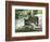 Asap Entertainment Plays with Wolves-Lionel Cironneau-Framed Photographic Print