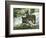 Asap Entertainment Plays with Wolves-Lionel Cironneau-Framed Photographic Print