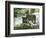 Asap Entertainment Plays with Wolves-Lionel Cironneau-Framed Photographic Print