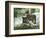 Asap Entertainment Plays with Wolves-Lionel Cironneau-Framed Photographic Print