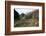 Ascetic rock-shelters for Buddhist monks in Anuradaphura, 2nd century BC. Artist: Unknown-Unknown-Framed Photographic Print