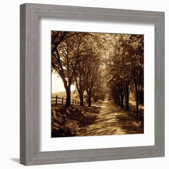 Ash Lawn I-Alan Hausenflock-Framed Art Print