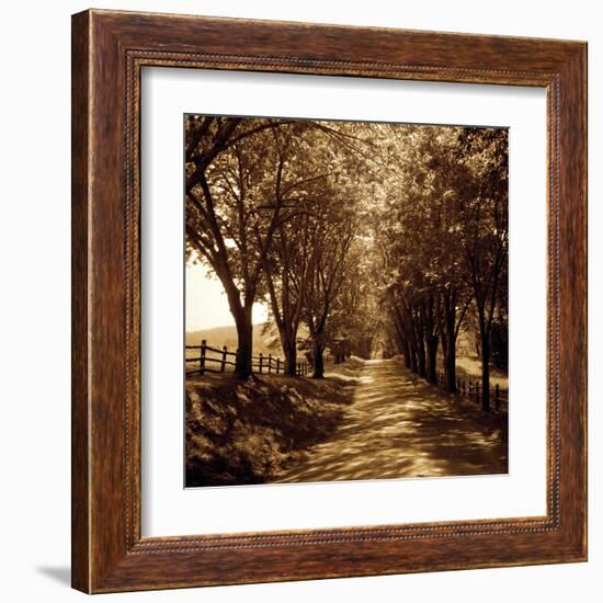 Ash Lawn I-Alan Hausenflock-Framed Art Print