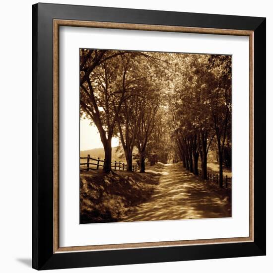 Ash Lawn I-Alan Hausenflock-Framed Art Print