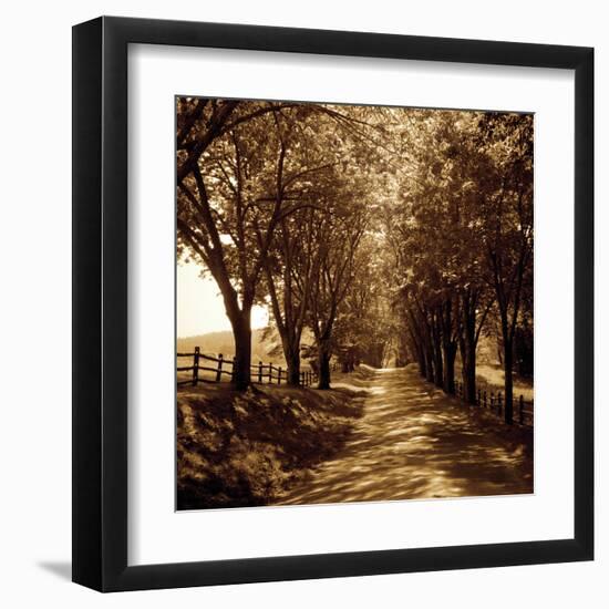 Ash Lawn I-Alan Hausenflock-Framed Art Print