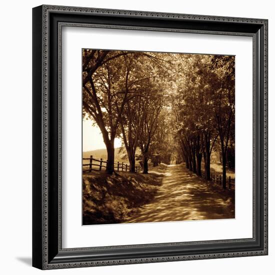 Ash Lawn I-Alan Hausenflock-Framed Art Print