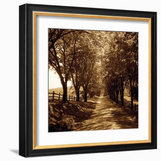 Ash Lawn I-Alan Hausenflock-Framed Art Print