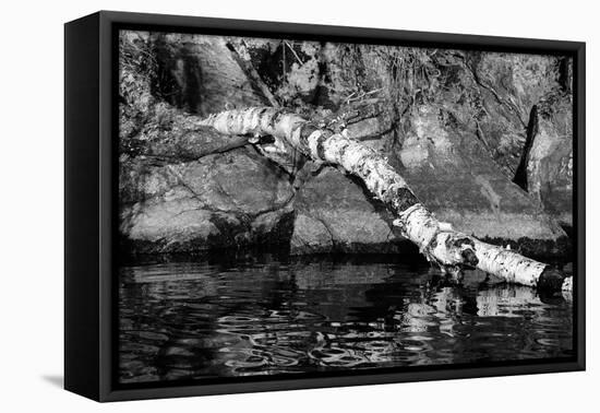 Ash River 11-Gordon Semmens-Framed Premier Image Canvas