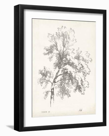 Ash Tree Study-null-Framed Art Print