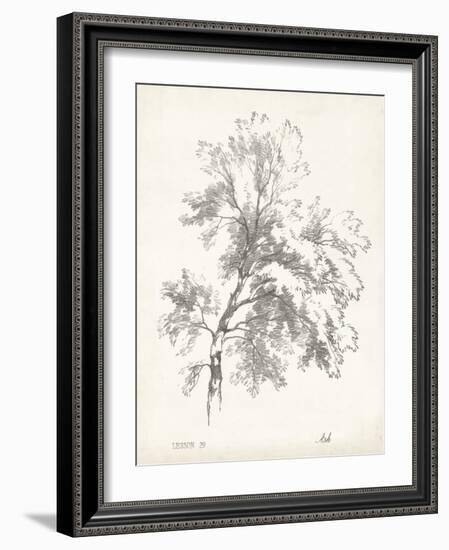 Ash Tree Study-null-Framed Art Print