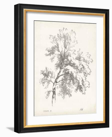 Ash Tree Study-null-Framed Art Print