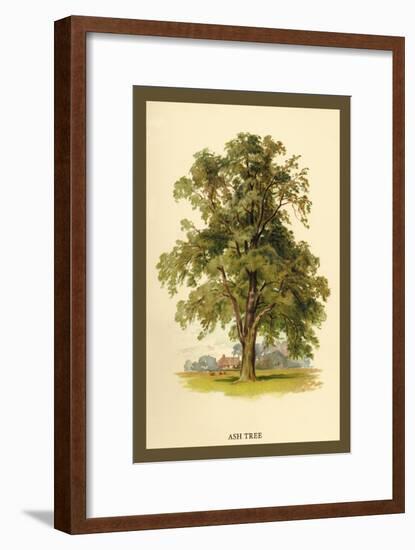 Ash Tree-W.h.j. Boot-Framed Art Print