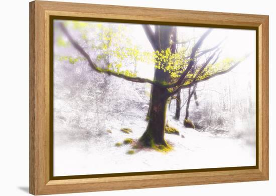 Ashes of Time-Viviane Fedieu Daniel-Framed Premier Image Canvas