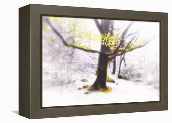 Ashes of Time-Viviane Fedieu Daniel-Framed Premier Image Canvas