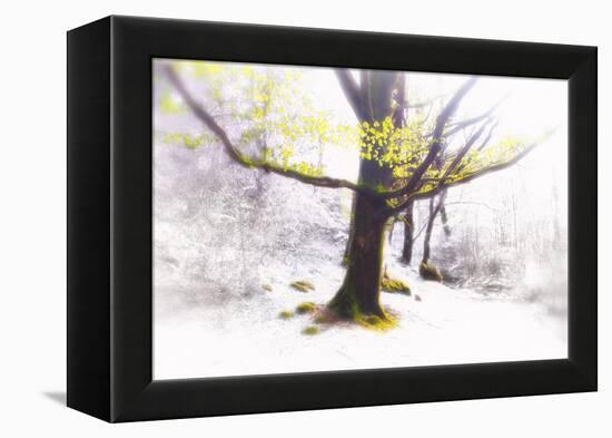 Ashes of Time-Viviane Fedieu Daniel-Framed Premier Image Canvas