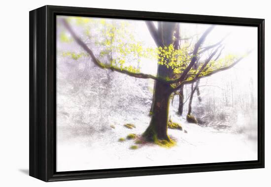 Ashes of Time-Viviane Fedieu Daniel-Framed Premier Image Canvas