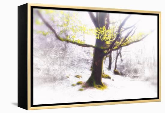 Ashes of Time-Viviane Fedieu Daniel-Framed Premier Image Canvas