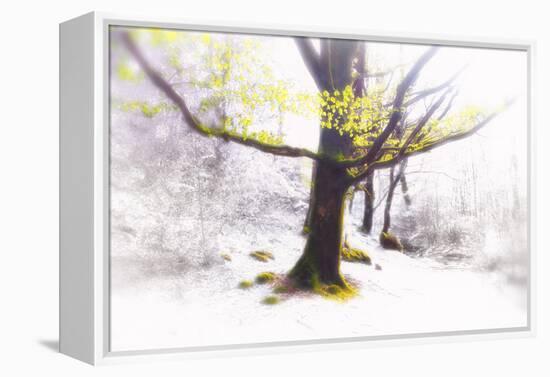 Ashes of Time-Viviane Fedieu Daniel-Framed Premier Image Canvas