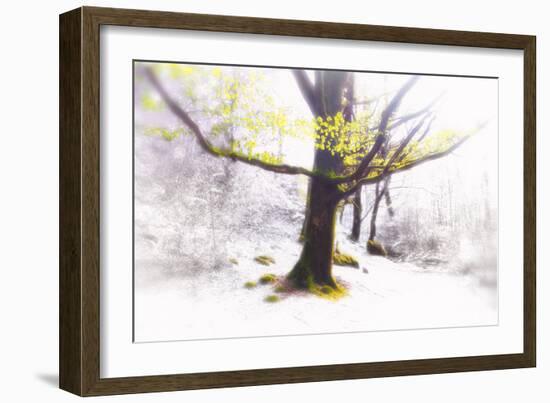 Ashes of Time-Viviane Fedieu Daniel-Framed Photographic Print