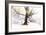 Ashes of Time-Viviane Fedieu Daniel-Framed Photographic Print