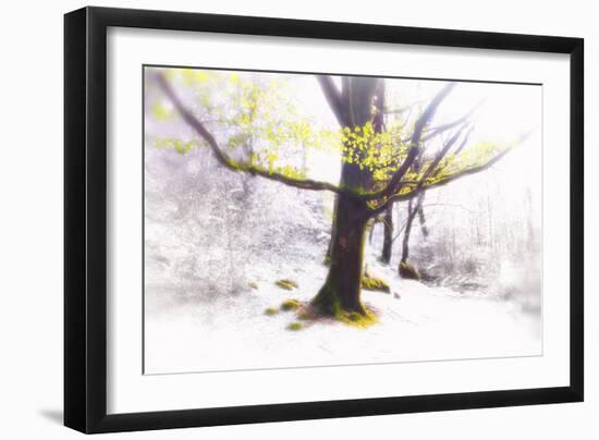 Ashes of Time-Viviane Fedieu Daniel-Framed Photographic Print