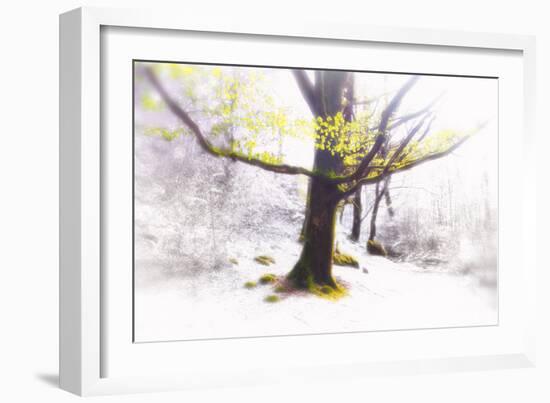 Ashes of Time-Viviane Fedieu Daniel-Framed Photographic Print