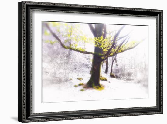 Ashes of Time-Viviane Fedieu Daniel-Framed Photographic Print