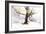 Ashes of Time-Viviane Fedieu Daniel-Framed Photographic Print