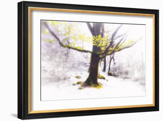 Ashes of Time-Viviane Fedieu Daniel-Framed Photographic Print