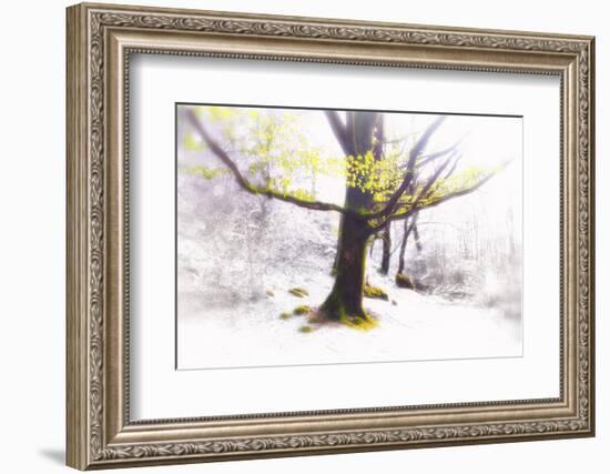 Ashes of Time-Viviane Fedieu Daniel-Framed Photographic Print